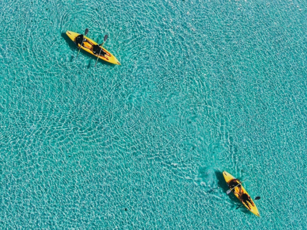 Four people kayaking on the clear blue ocean 