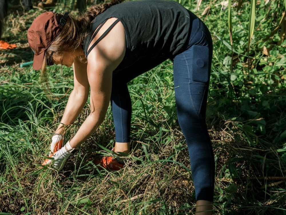 A person doing garden work