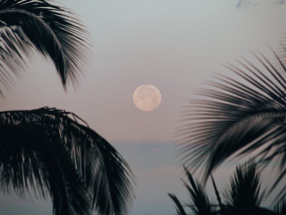 Full Moon