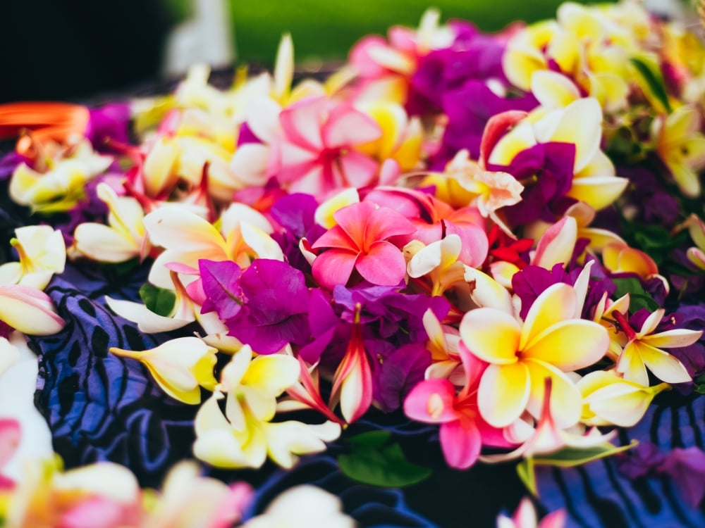 fresh flowers