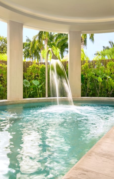 Kilolani Hydrothermal Gardens