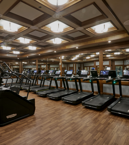 A gym with treadmills and stair climbing machines besides eachother 