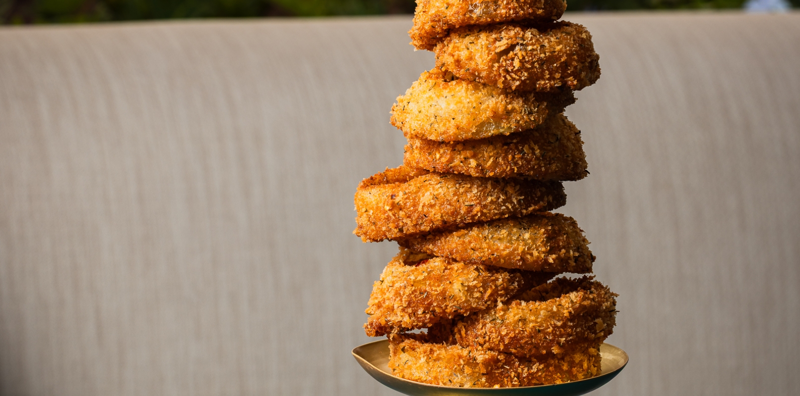 botero onion rings